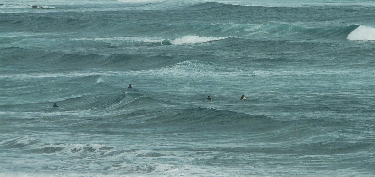 surfistas esperando una ola