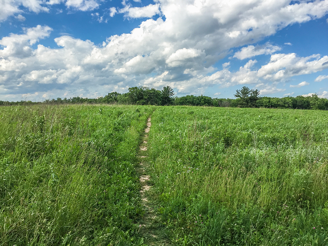 Wisconsin Explorer Hiking the Ice Age Trail Cross Plains Segment