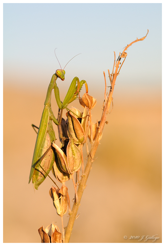 macroinstantes: febrero 2011