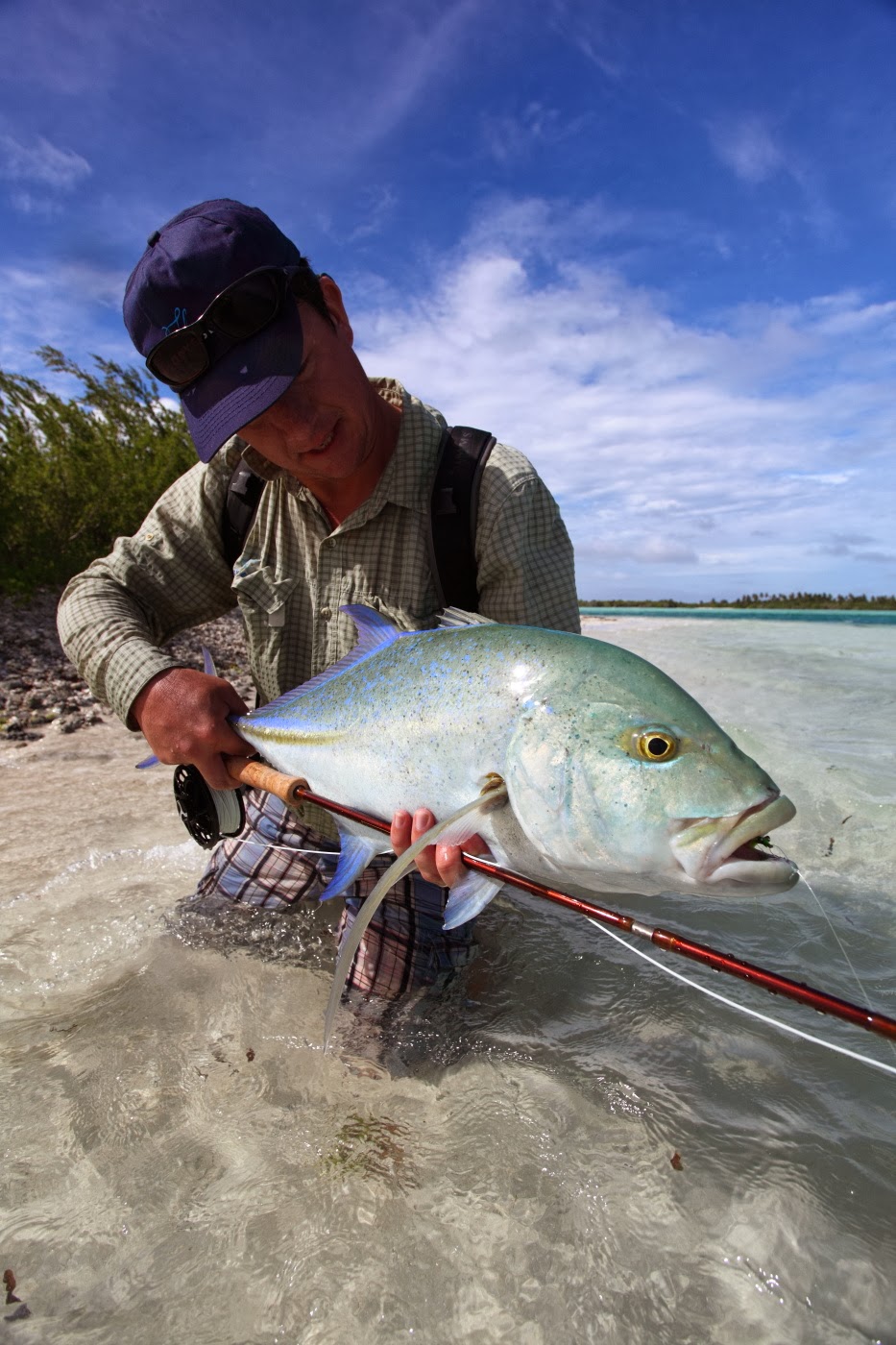 Fly Odyssey Newsletters Maldives fly fishing