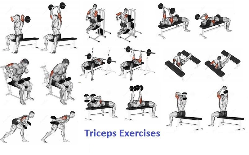 TRICEPS EXERCISES Bloger Akshit