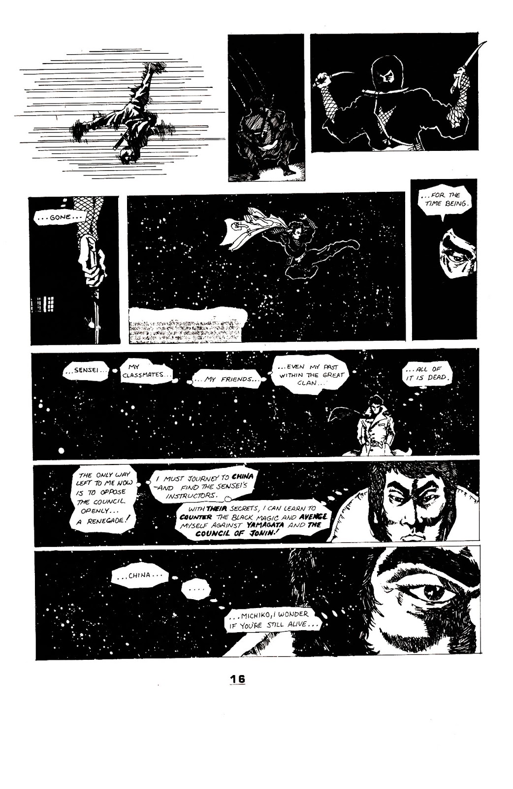 Ninja Funnies issue 1 - Page 19