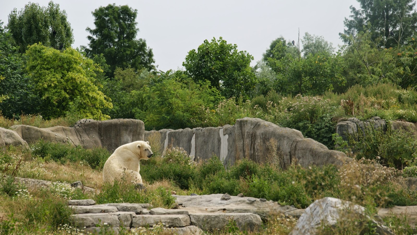 The Incredibles Diergaarde Blijdorp The biggest zoo in Europe.