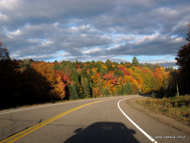 Canadian autumn colours in Ontario