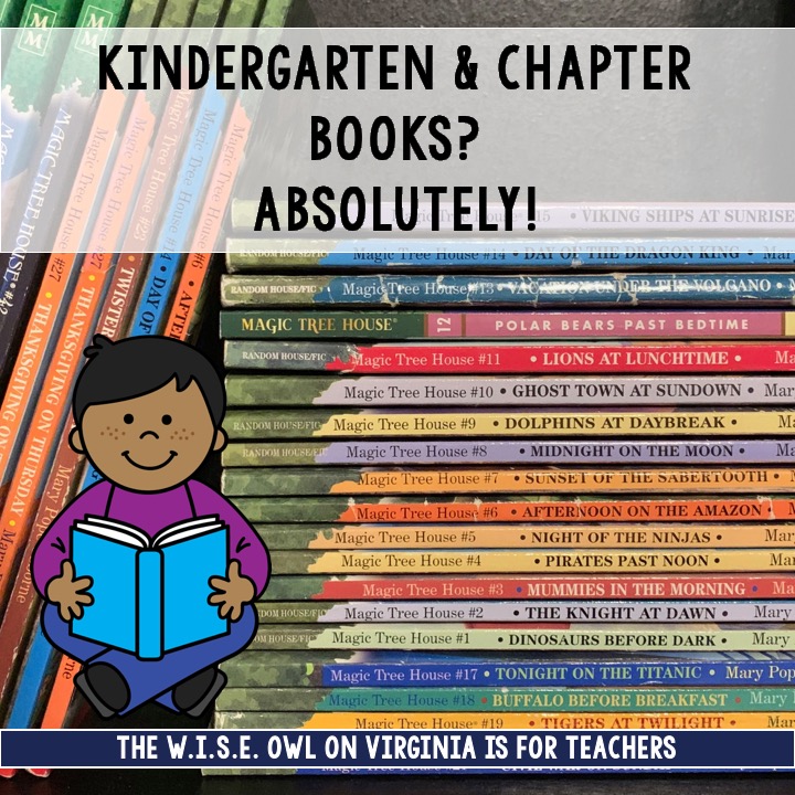 Don't shy away from chapter books just because you teach Kindergarten. Chapter Books are a great springboard for vocabulary and skills.