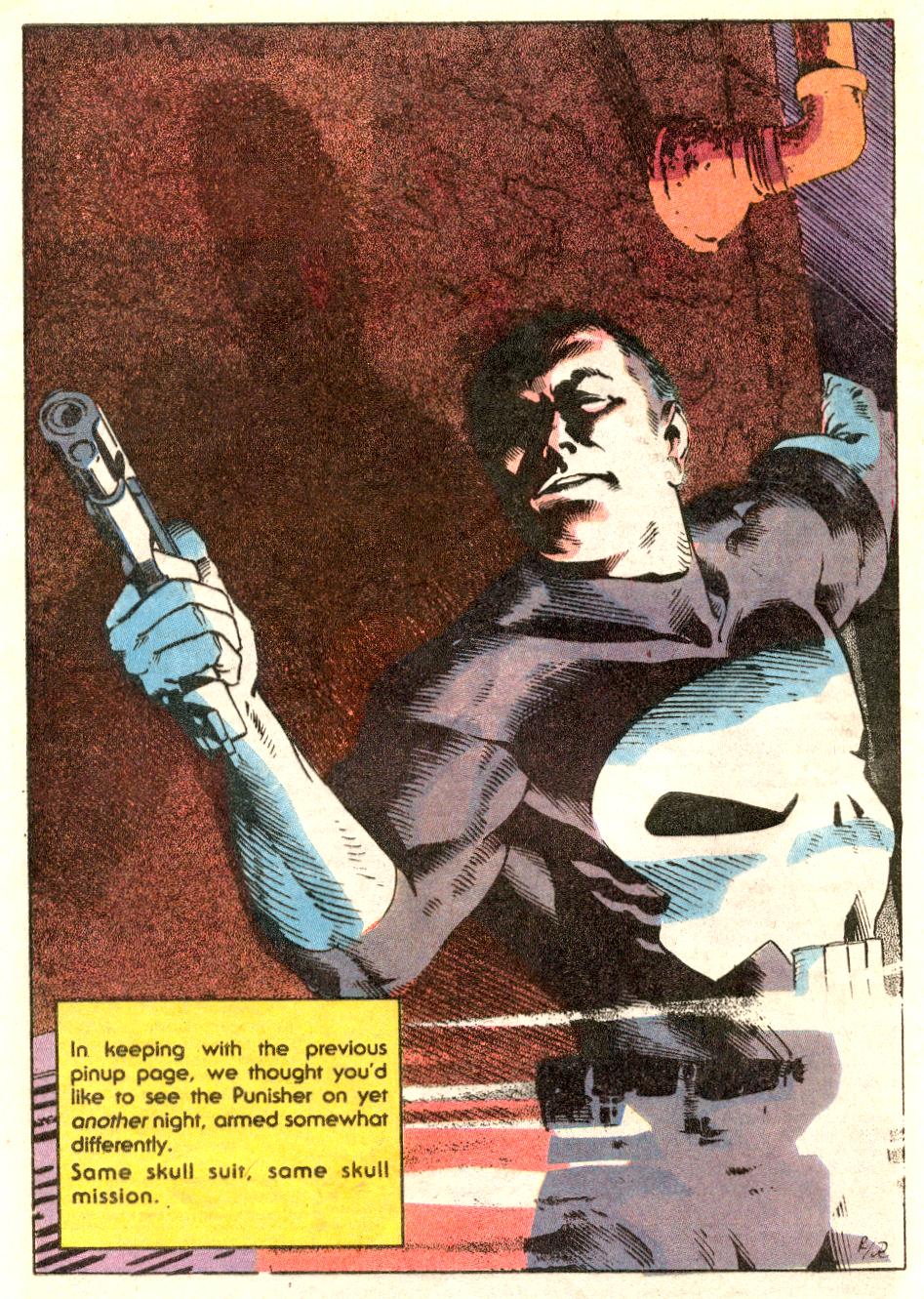 The Punisher (1987) Issue #47 - The Brattle Gun #01 #54 - English 23
