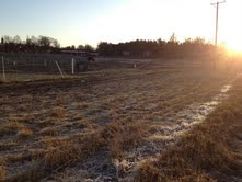 ny%25C3%25A5rsafton+2011 - Promenader på nyårsafton