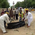 Parents Donates Their Daughters To Boko haram For Suicide Bombing