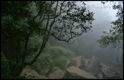 Kodaikanal Pambar Falls