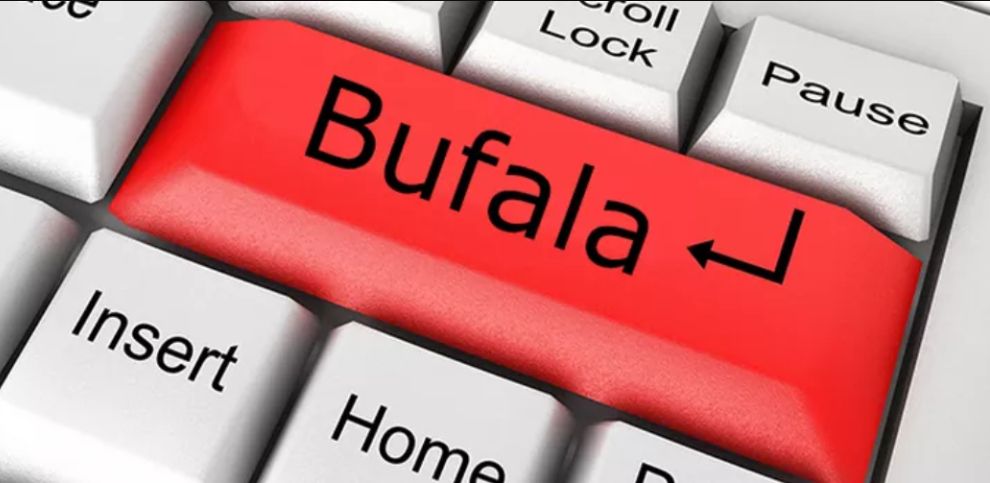 Falsi Messaggi Online: Polizia Postale nel mirino delle Bufale Internet Falsi Messaggi Online: Polizia Postale nel mirino delle Bufale Internet