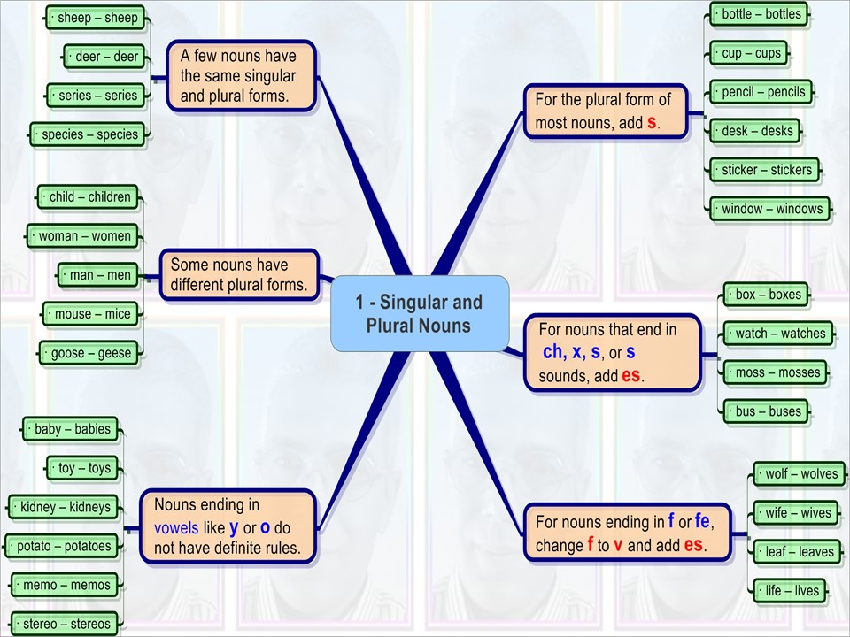 Basic English Grammar 4 U Plural Forms