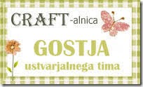 GOSTJA V CRAFT-ALNICI