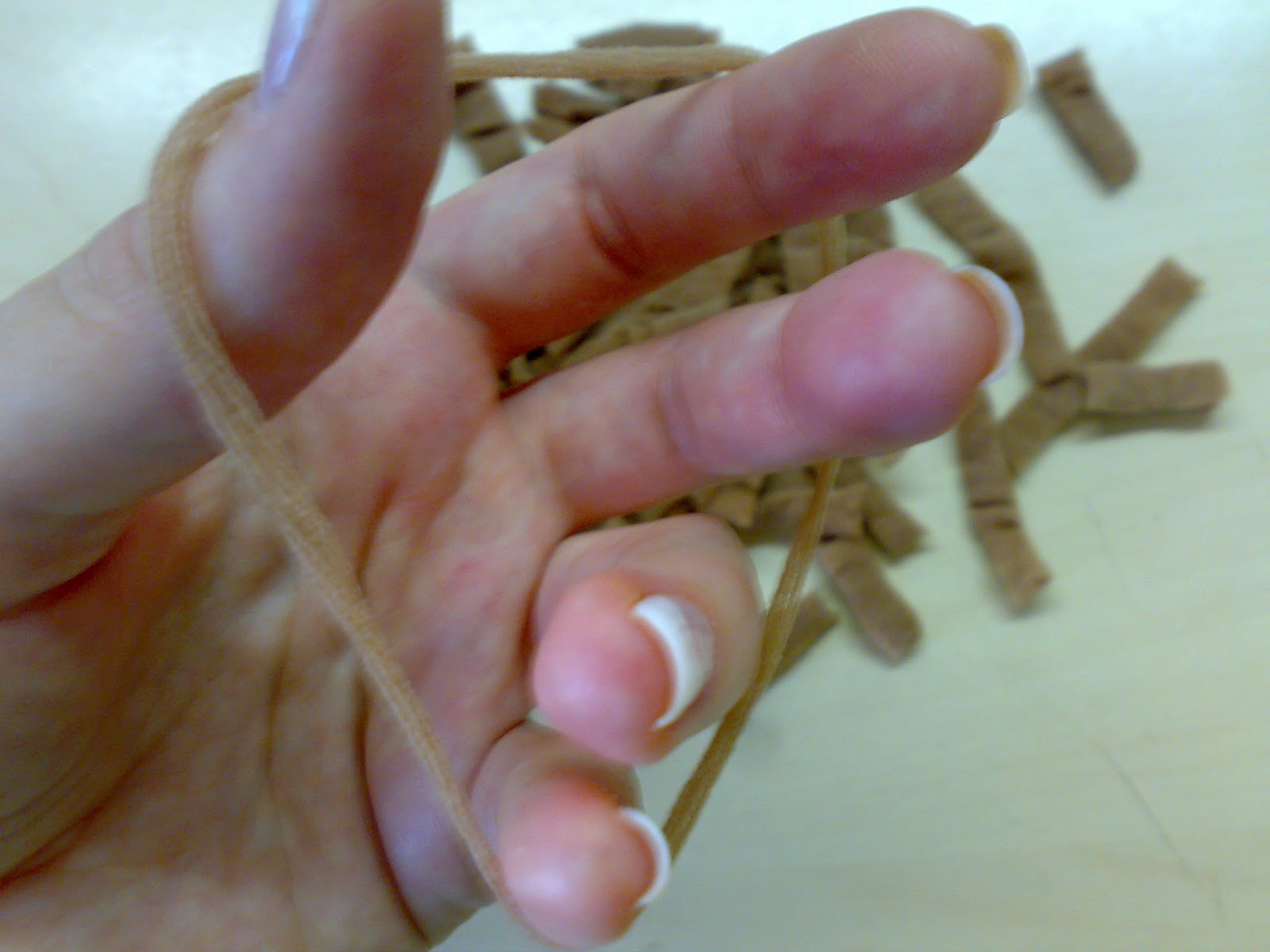 fialka7.blogspot.com: ОСНОВЫ ВЫРАЩИВАНИЯ