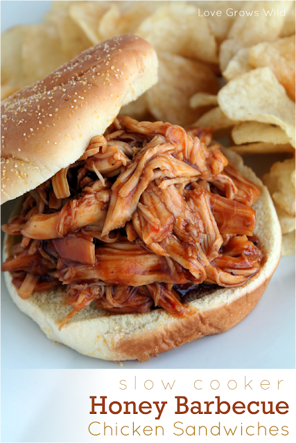 Slow Cooker Honey Barbecue Sandwiches by LoveGrowsWild.com for Uncommon Designs