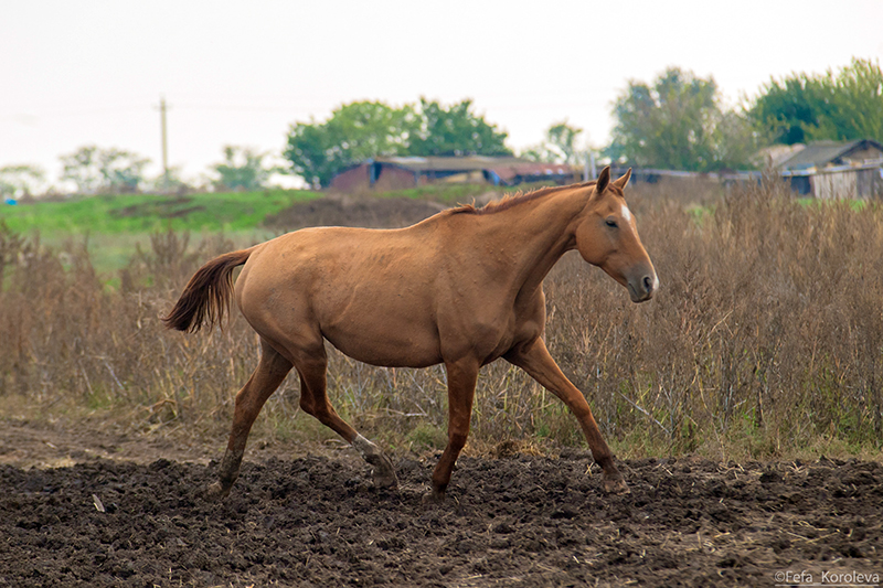 YY0P8902-2.jpg