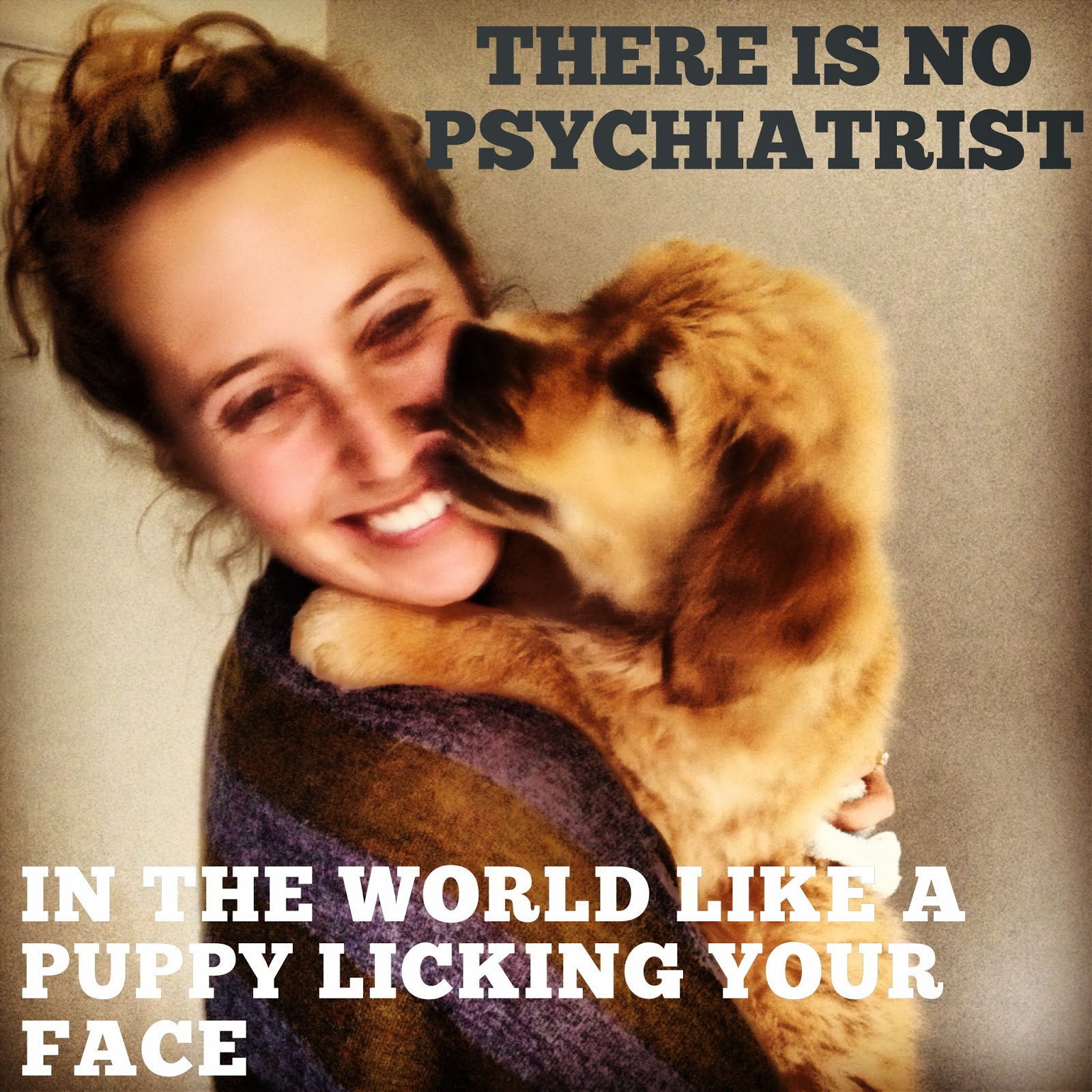 mydogjourney It is a fact that caring for a dog can actually make you