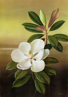 Paul Jones 1921-1997 ~ Australian painter | Flowers of May