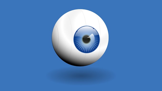 Eye Vector visualization Free Vector
