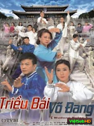 Triều Bái Võ Đang