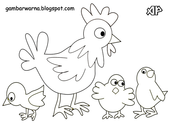 Mewarnai Ayam | Belajar Mewarnai Gambar