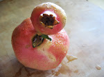 Backyard pomegranate