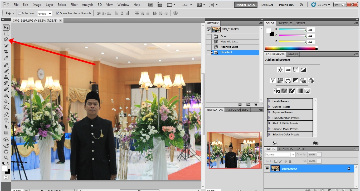 Cara Menghilangkan Warna Pada Gambar Dengan Photoshop | Ide Perpaduan Warna