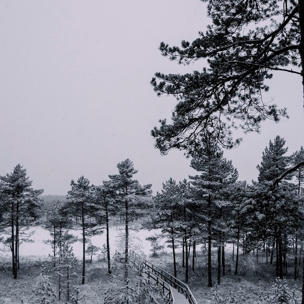 Meenikunno raba ja Taevaskodade matkarajad