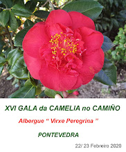 XVI Gala