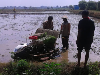 DANRAMIL KEDAWUNG PANTAU PELATIHAN TRANSPLANTER BAGI KELOMPOK TANI  DARI KEC GEMOLONG DAN KEC TANON