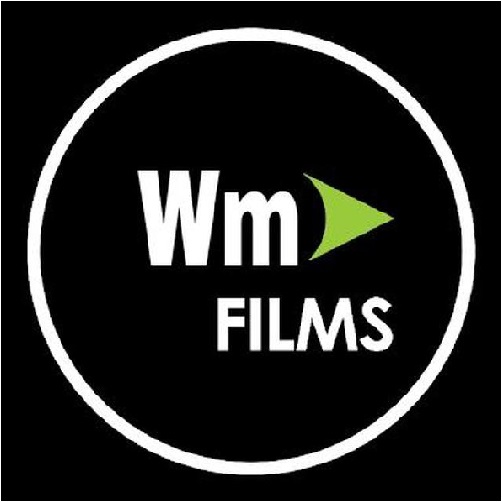 WmFilm.ooo - Download Free Hindi English Dual Audio HD Movie