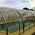Policarbonato transparente, ventajas y desventajas
