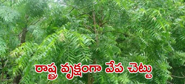 రాష్ట్ర చిహ్నాలు | State icons | GRANTHANIDHI | MOHANPUBLICATIONS | bhaktibooks