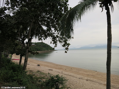 Koh Samui, Thailand daily weather update; 25th June, 2015