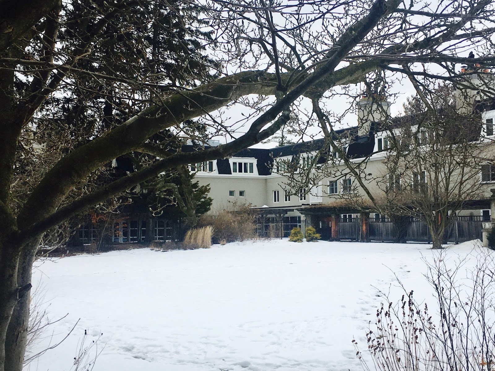 Mop Philosophy Winter Gardens at Langdon Hall