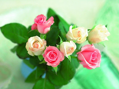  Gambar Rangkaian Bunga Mawar  Download Gambar  Gratis