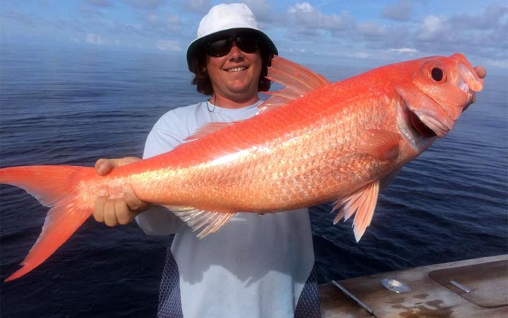 January Ft. Lauderdale Offshore Fishing Report with Capt. Kevin Cote