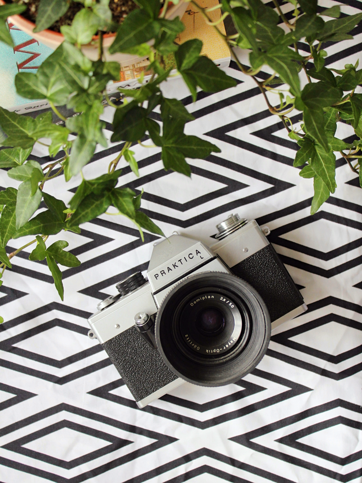 30 Blog Posts To Help You Improve Your Photography - Tea & Curls 30 Blog Posts To Help You Improve Your Photography - Tea & Curls