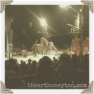 Cole Bros Circus elephants photo