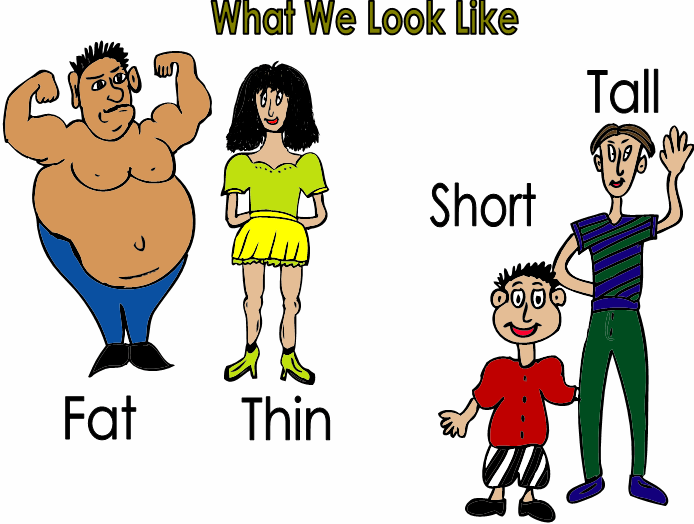 Tall short fat thin