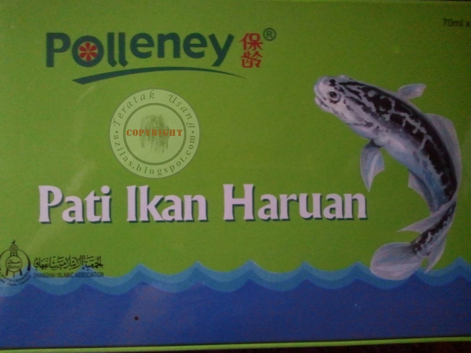 Polleney Pati Ikan Haruan.