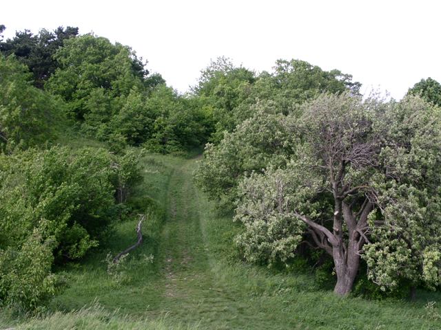Wanderland Austria Unterwegs am Eichkogel