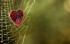 صور خلفيات قلوب حب جميلة HD