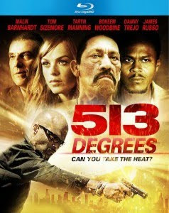 Download 513 Degrees 2013 720p BluRay 650MB