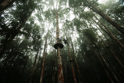 Ya,Blog!: Bali Treetop Adventure Park @ Bedugul