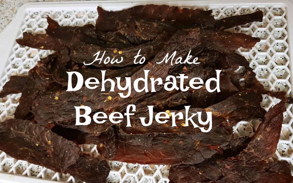 Reviews, Chews & HowTos Dehydrated Beef Jerky