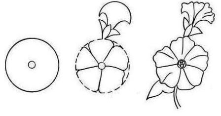 Cara Menggambar Bunga Sepatu Sketsa Gambar Bunga