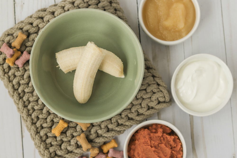 Frozen Dog Bones Recipe