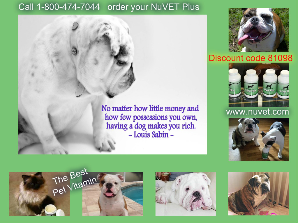 jax n daisy coupon code