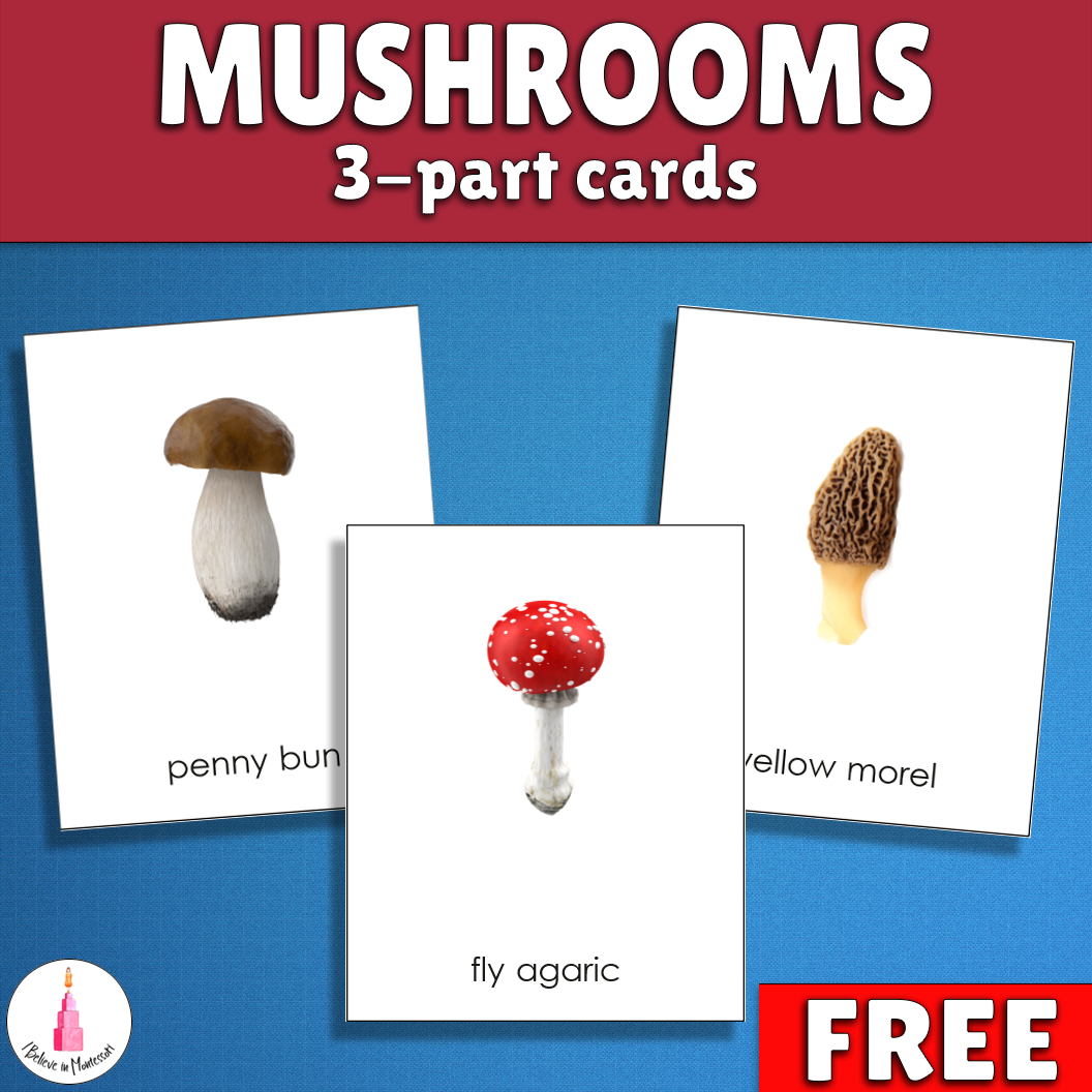 I Believe In Montessori FREE Printable Mushrooms Montessori 3 part Cards
