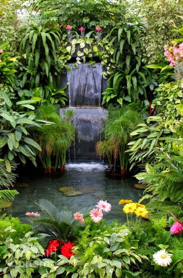A relaxing garden and backyard waterfalls
